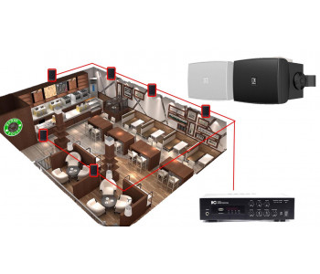 Акустическая система для ресторана, кафе 6 настенных колонки AUDAC WX302